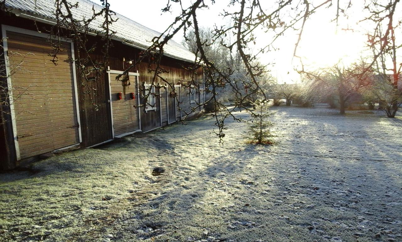 Draenggardens Stuga Pa Genuin Raettviksgard Boda  Exterior foto